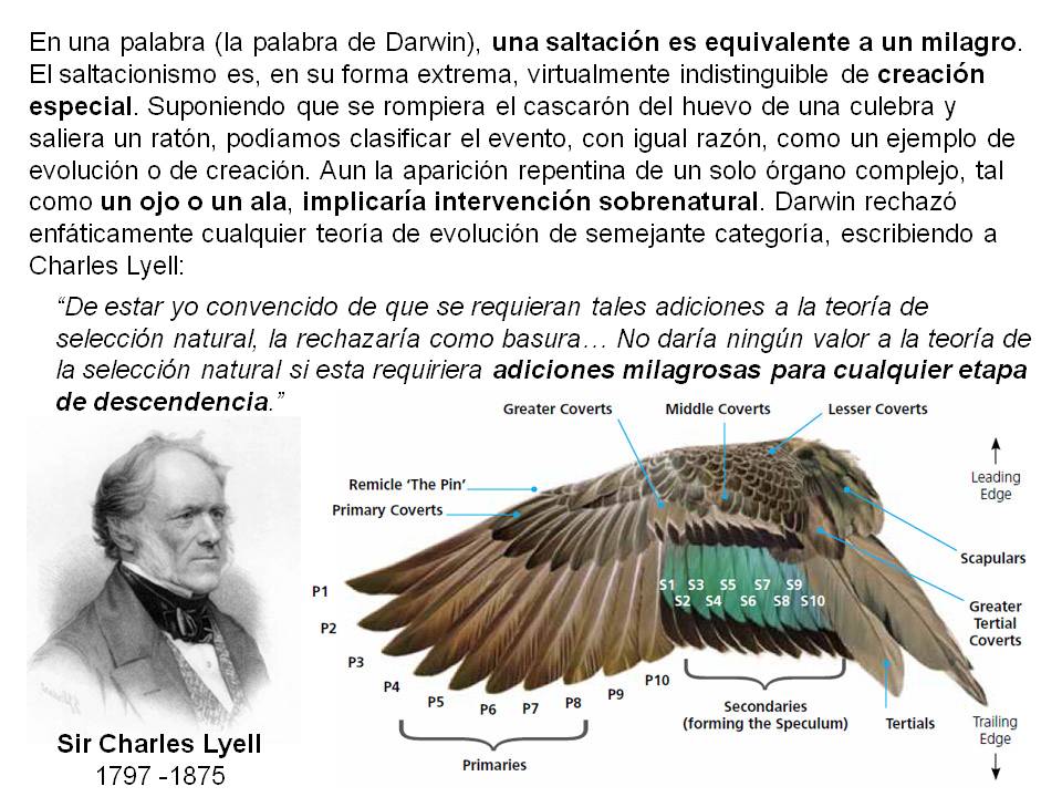Esta imagen (diapositiva), con una pintura del geólogo Charles Lyell y la gráfica de un ala grande de ave, es la tercera para Mutaciones grandes y pequeñas, del Capítulo Tres del libro Darwin en el estrado.
