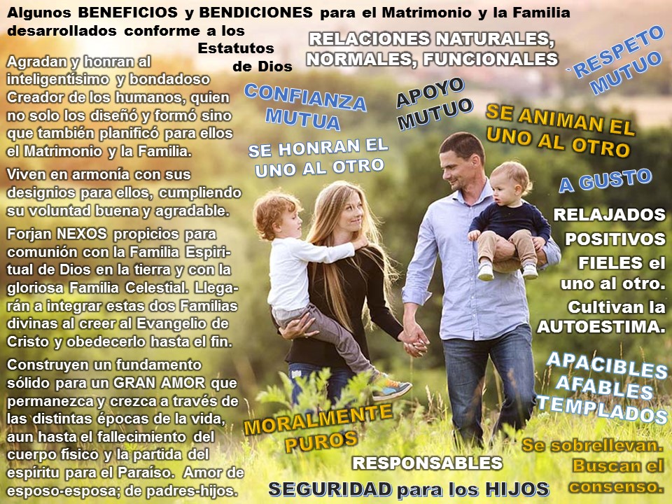 Diapositiva 9, preparada en PowerPoint, para el Mensaje sobre La formación de la familia terrenal de acuerdo con los estatutos vigentes de Dios.