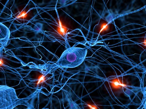 Cada neurona del cerebro humano está conectada a mil hasta diez mil más, haciendo posible el procesamiento paralelo a gran velocidad.
