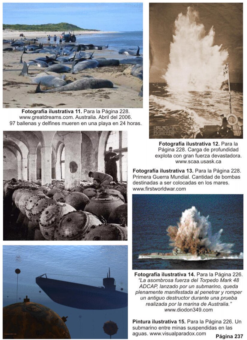 Timeline  Description automatically generated