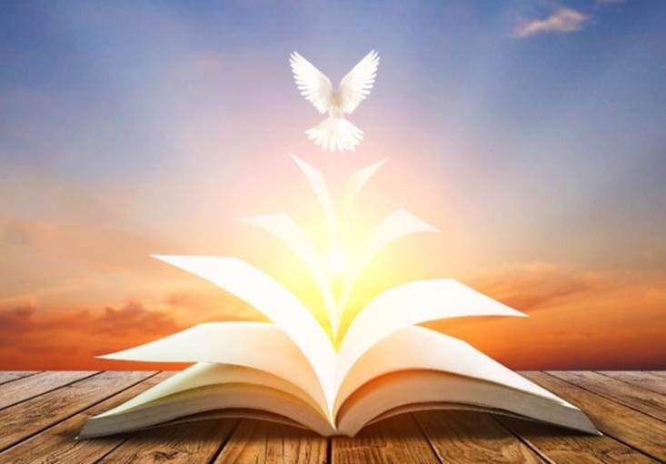 Hermosa imagen de una Biblia abierta sobre una plataforma de madera frente a cielos azules donde vuela una paloma, ilustración para resaltar la misión del Espíritu Santo de revelar para la humanidad toda la verdad.