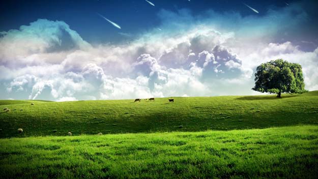 Esta escena bucólica de vacas y ovejas pastando en prados verdes, con un árbol solitario a la derecha y nubes blancas abultadas en el horizonte, ilustra el sermón de texto completo Seis deseos para un año nuevo, aun siete, en editoriallapaz.
