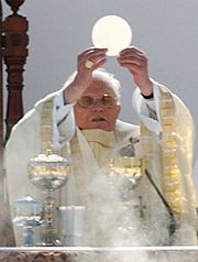 Pope Benedict XVI celebrates the Eucharist at the canonization of Frei Galvão in São Paulo, Brazil on 11 May 2007