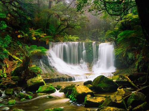 Una cascada en un bosque adorna el Índice A de temas en editoriallapaz.org